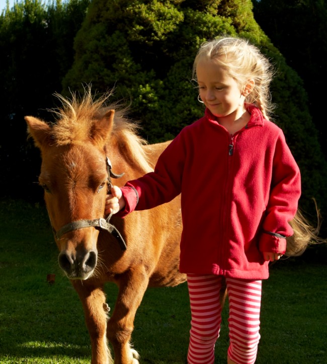 Pony reiten am Untersüßgut in Eben im Pongau