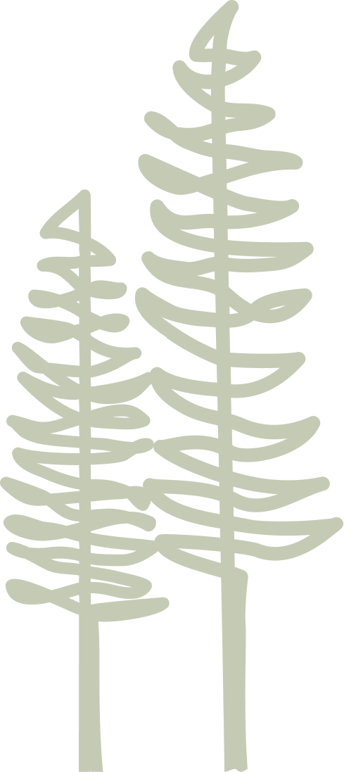 Bäume